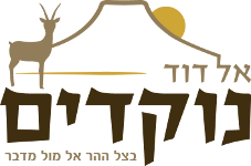 ספריית נוקדים